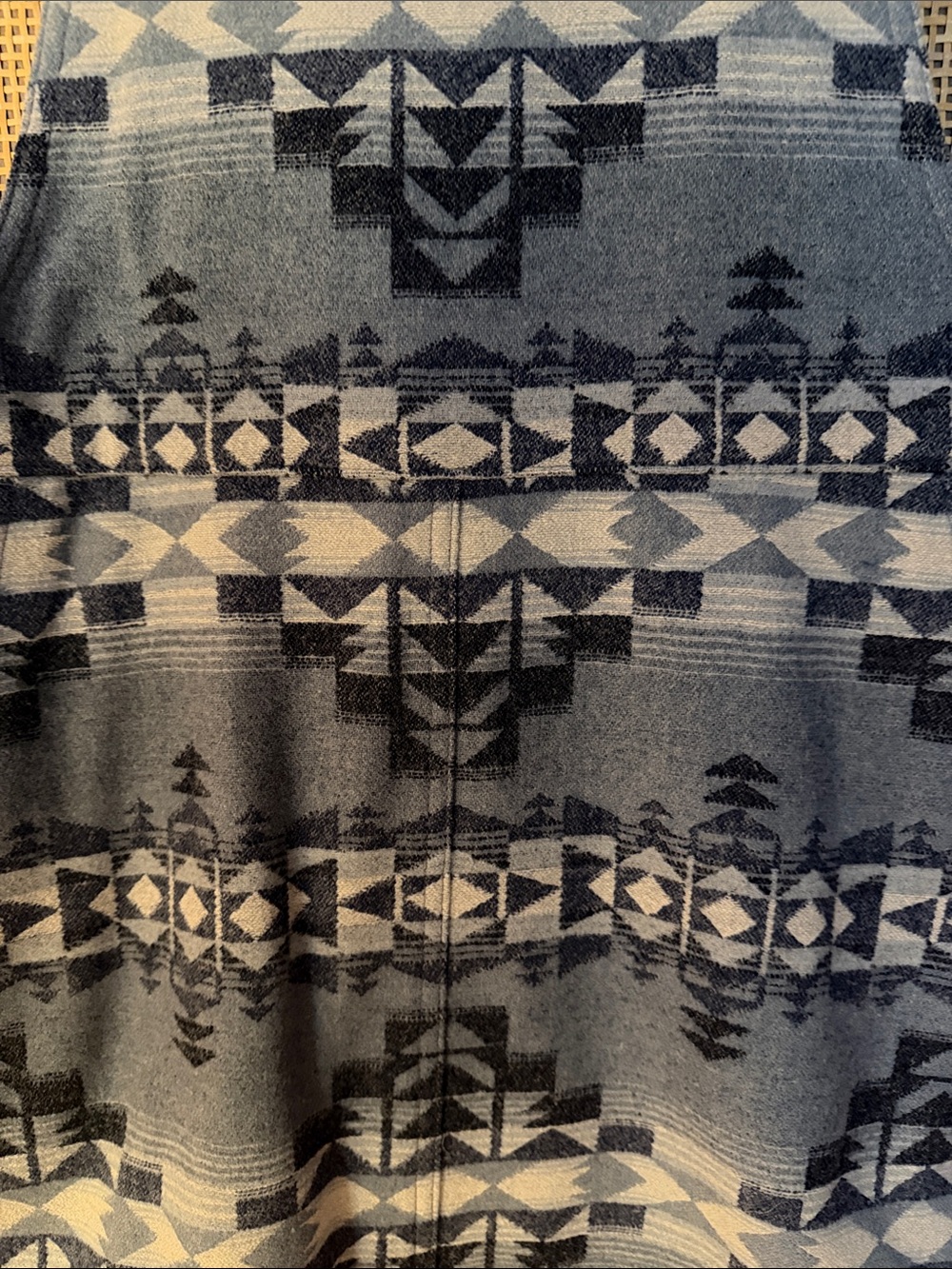 Pendleton Patterned Overall Dress - Picture 3 of 6